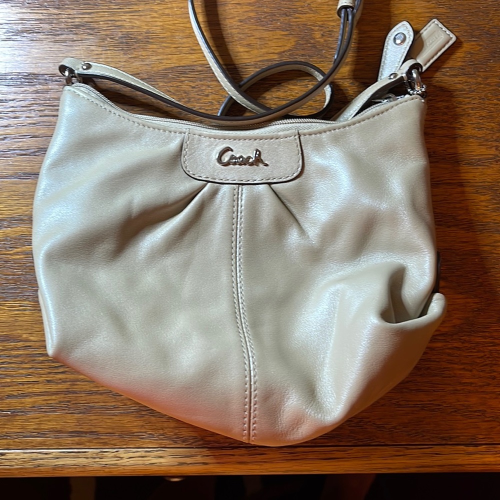 Tan mini coach crossbody